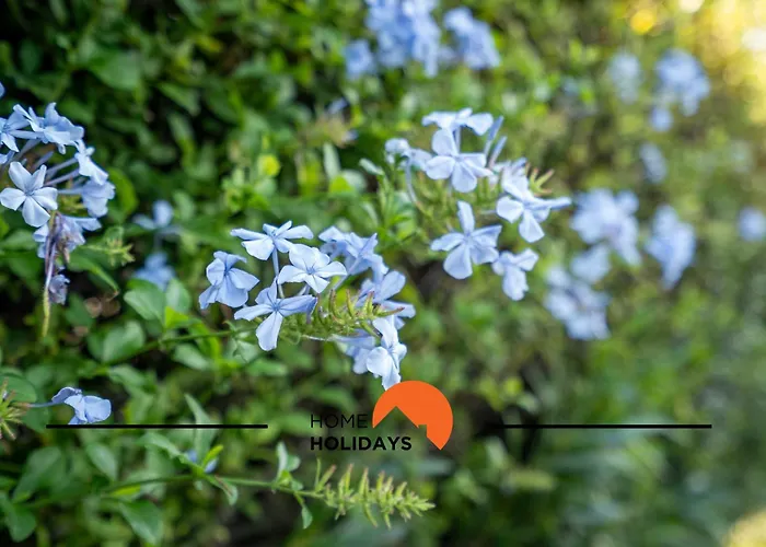 #239 Vivenda V3 Com Piscina By Holidays 빌라 알부페이라